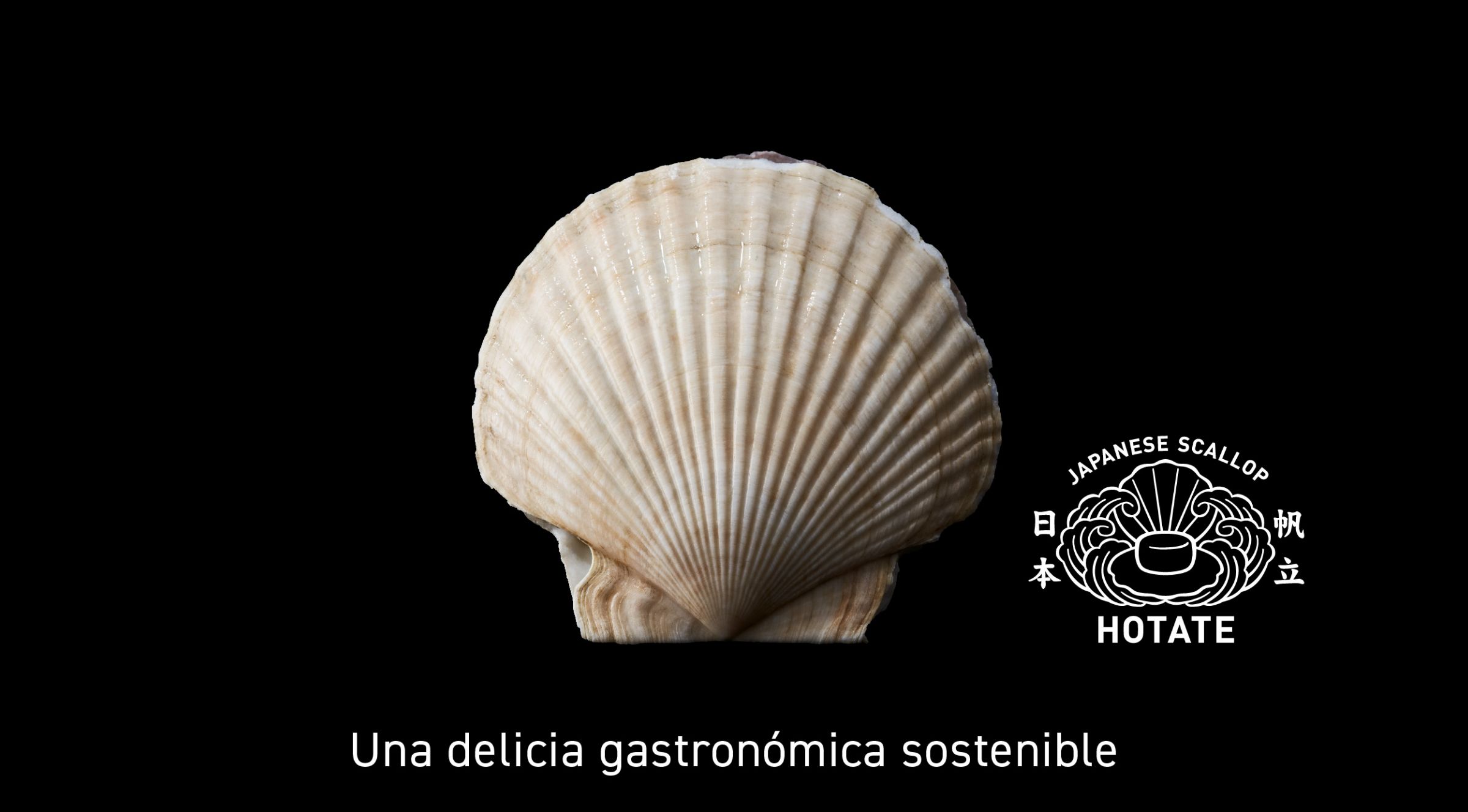 A Sutainable Gastronomic Delight